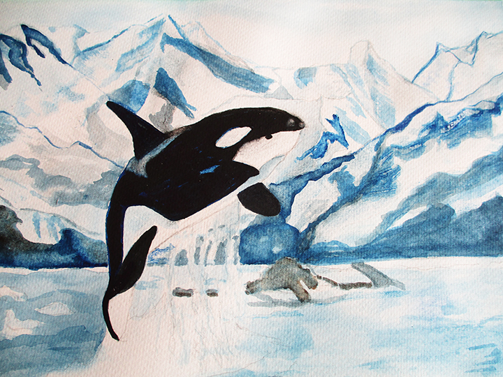 Orca by Jocelyn Reekie