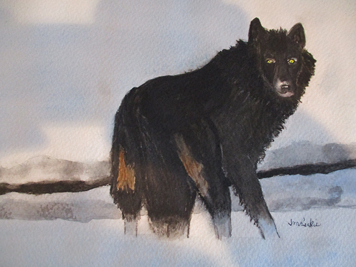 Wolf by Jocelyn Reekie