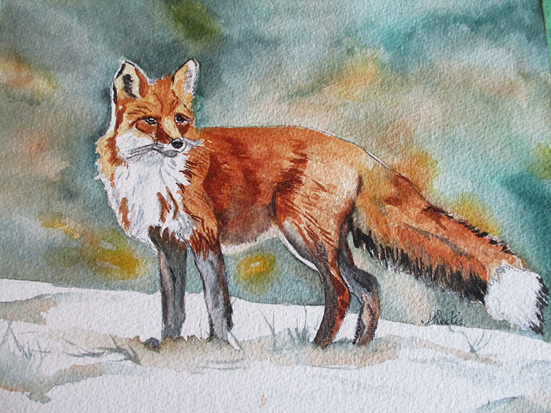 Fox by Jocelyn Reekie