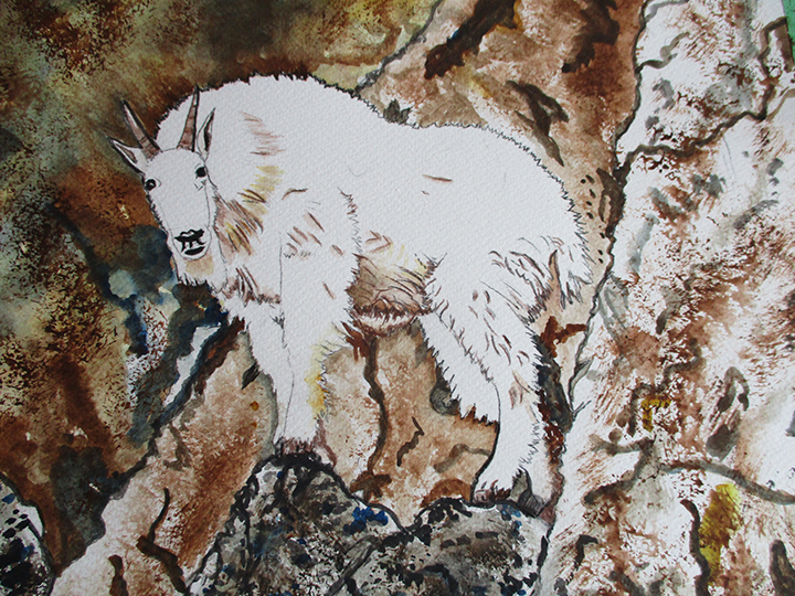 Mountain Goat by Jocelyn Reekie